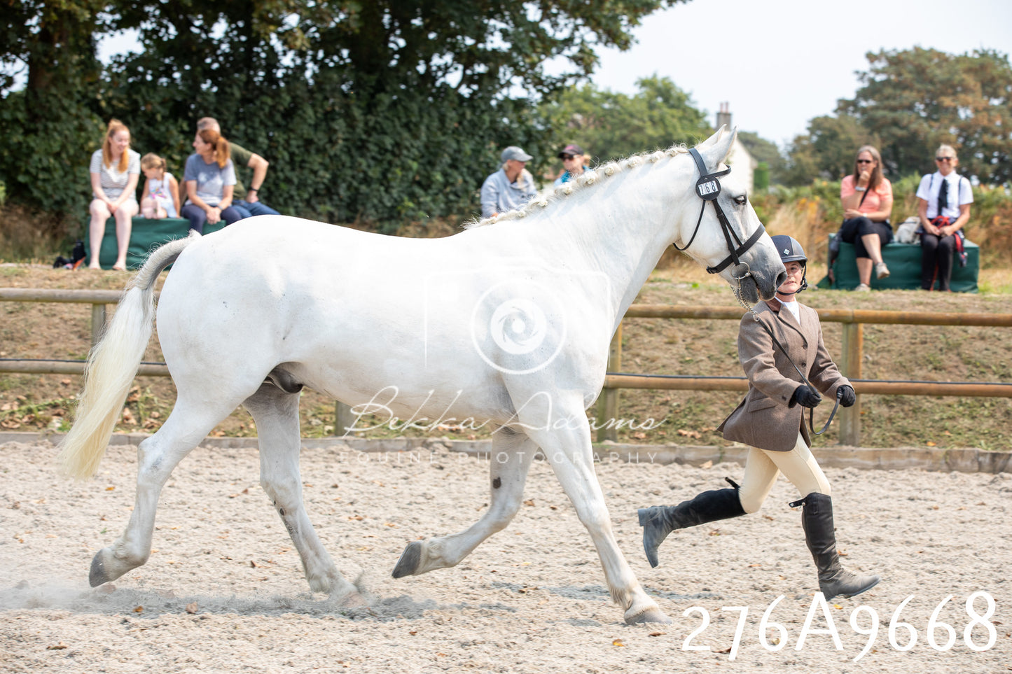 Home Farm Annual Show 2025 - Inhand Pt 2
