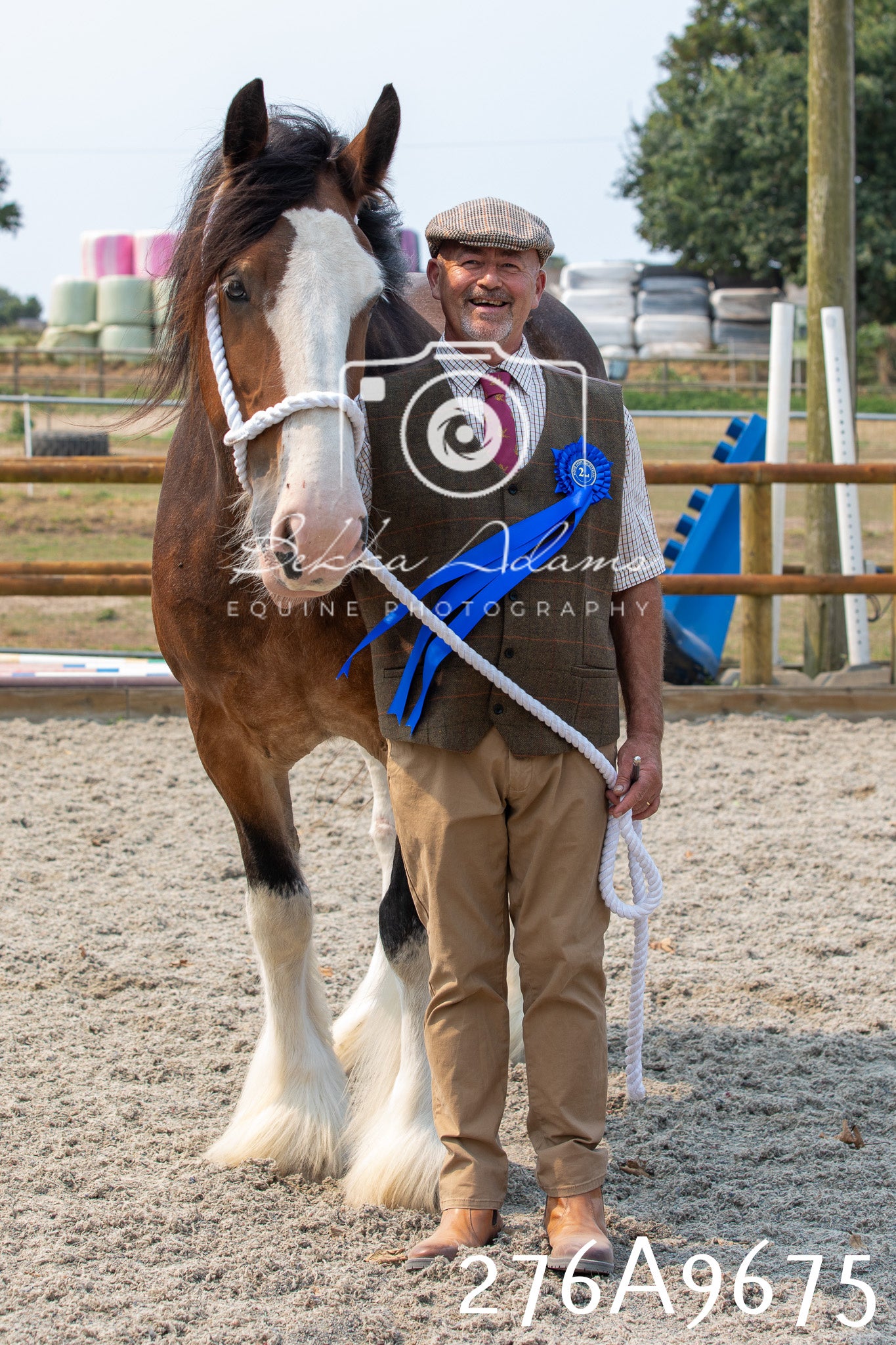 Home Farm Annual Show 2025 - Inhand Pt 2