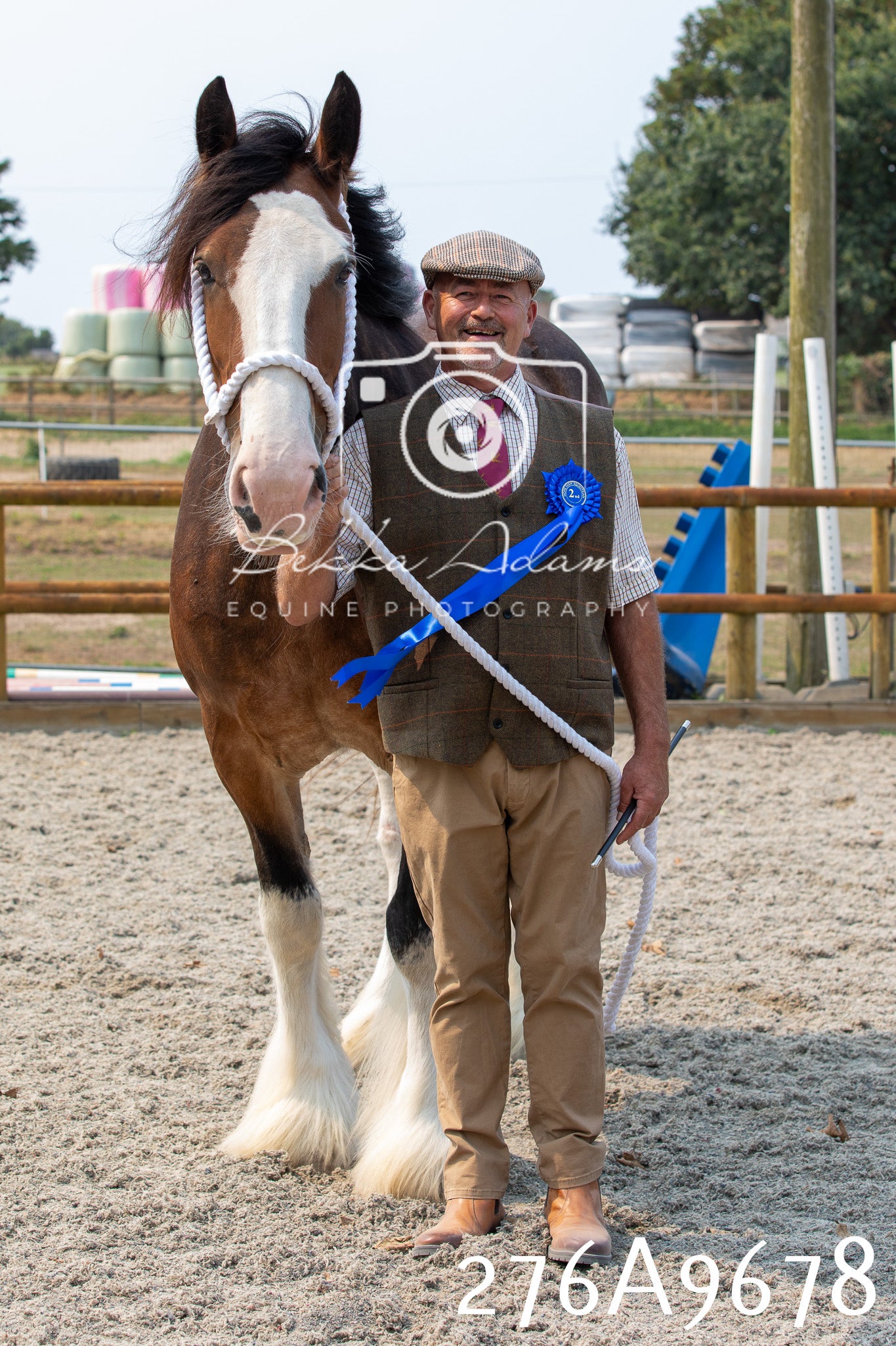 Home Farm Annual Show 2025 - Inhand Pt 2