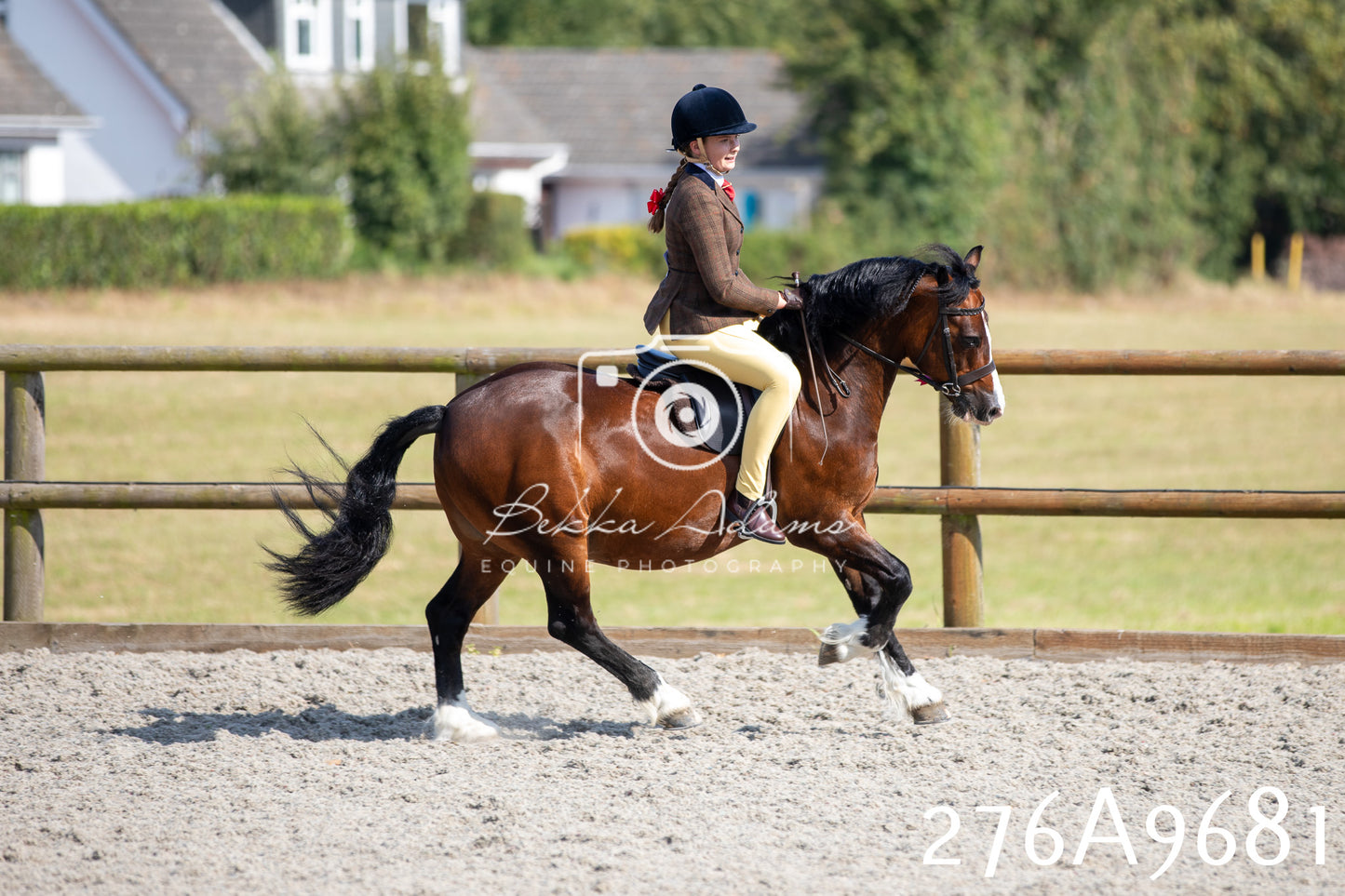 Home Farm Annual Show 2025 - Ridden Pt 2