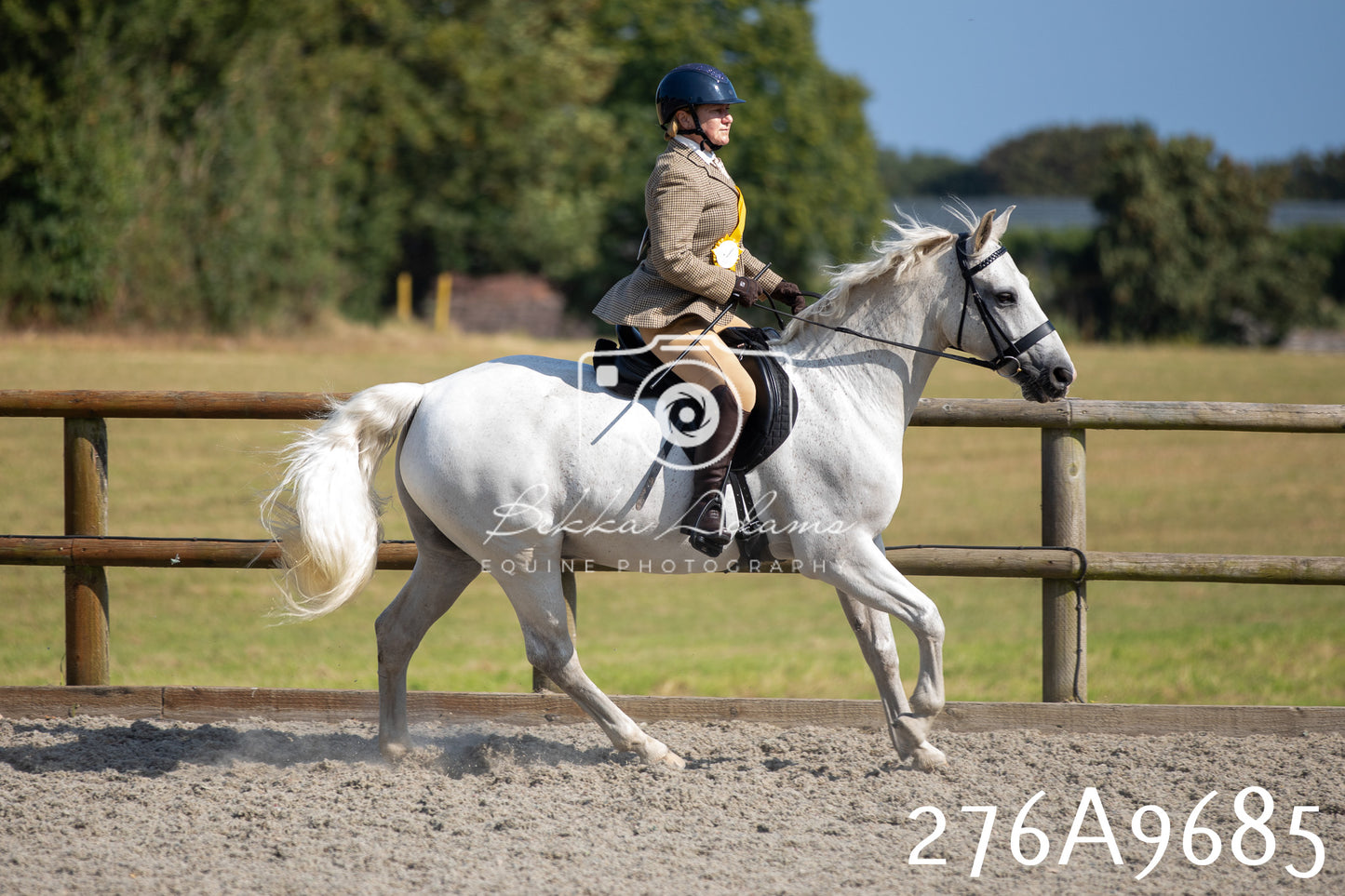 Home Farm Annual Show 2025 - Ridden Pt 2