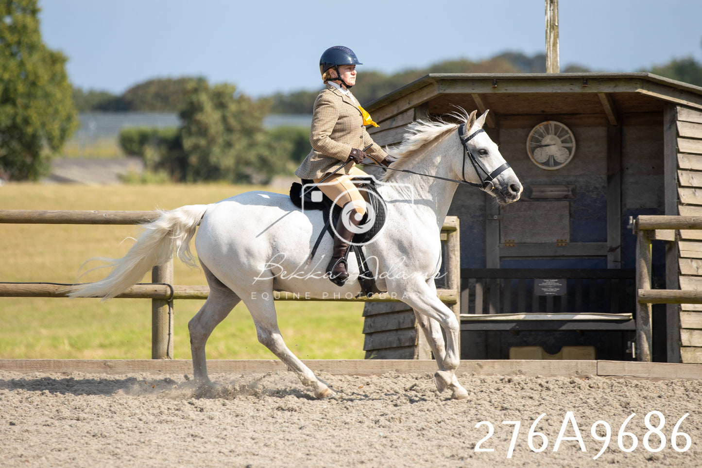 Home Farm Annual Show 2025 - Ridden Pt 2