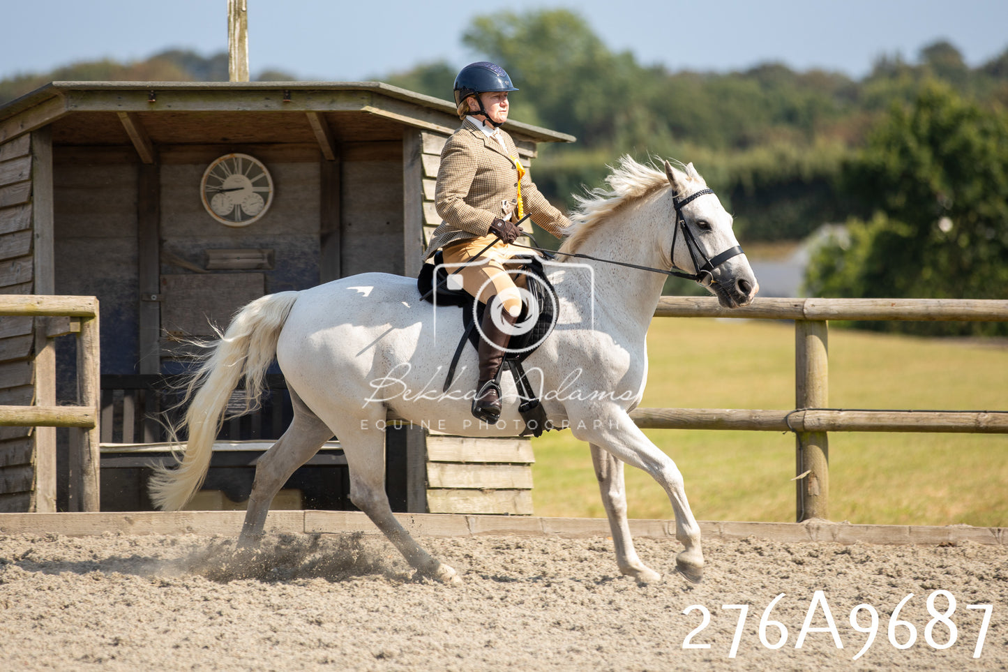 Home Farm Annual Show 2025 - Ridden Pt 2