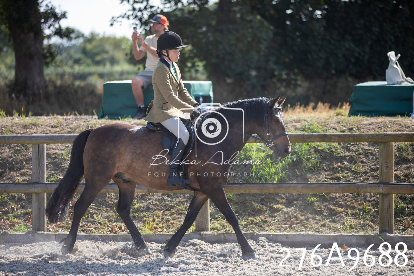 Home Farm Annual Show 2025 - Ridden Pt 2