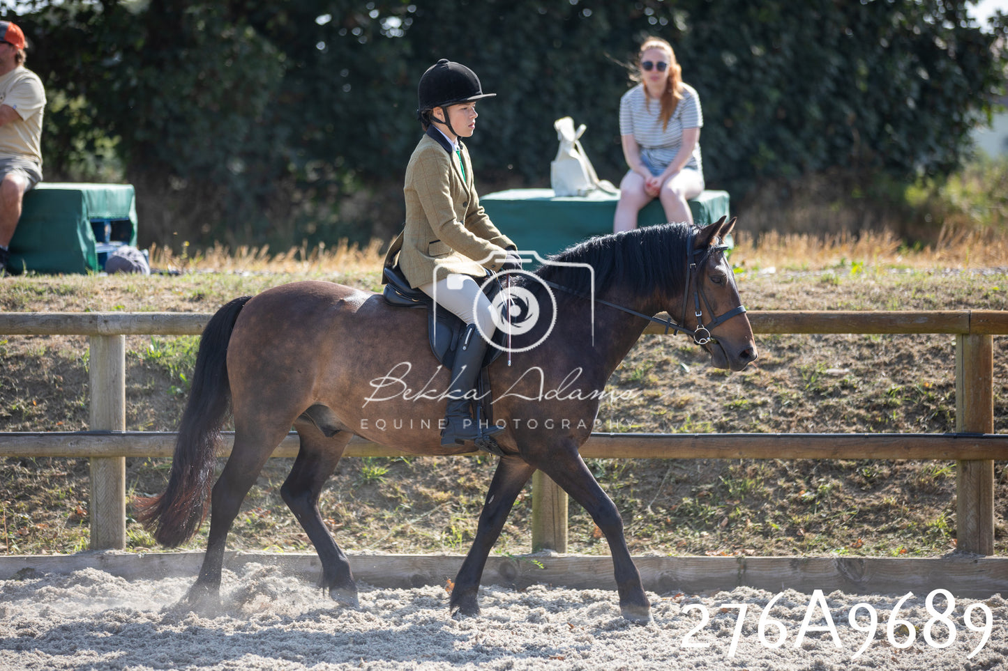 Home Farm Annual Show 2025 - Ridden Pt 2