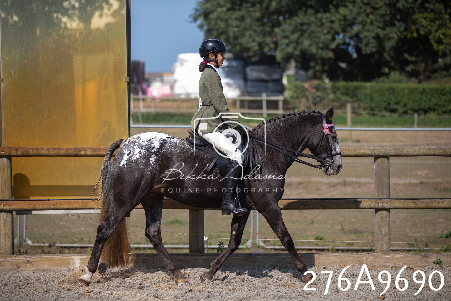 Home Farm Annual Show 2025 - Ridden Pt 2