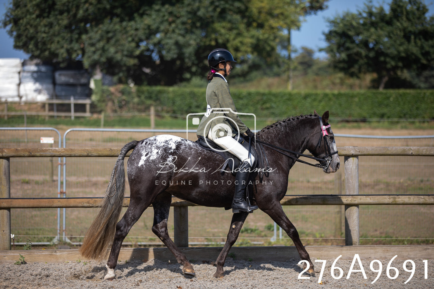 Home Farm Annual Show 2025 - Ridden Pt 2