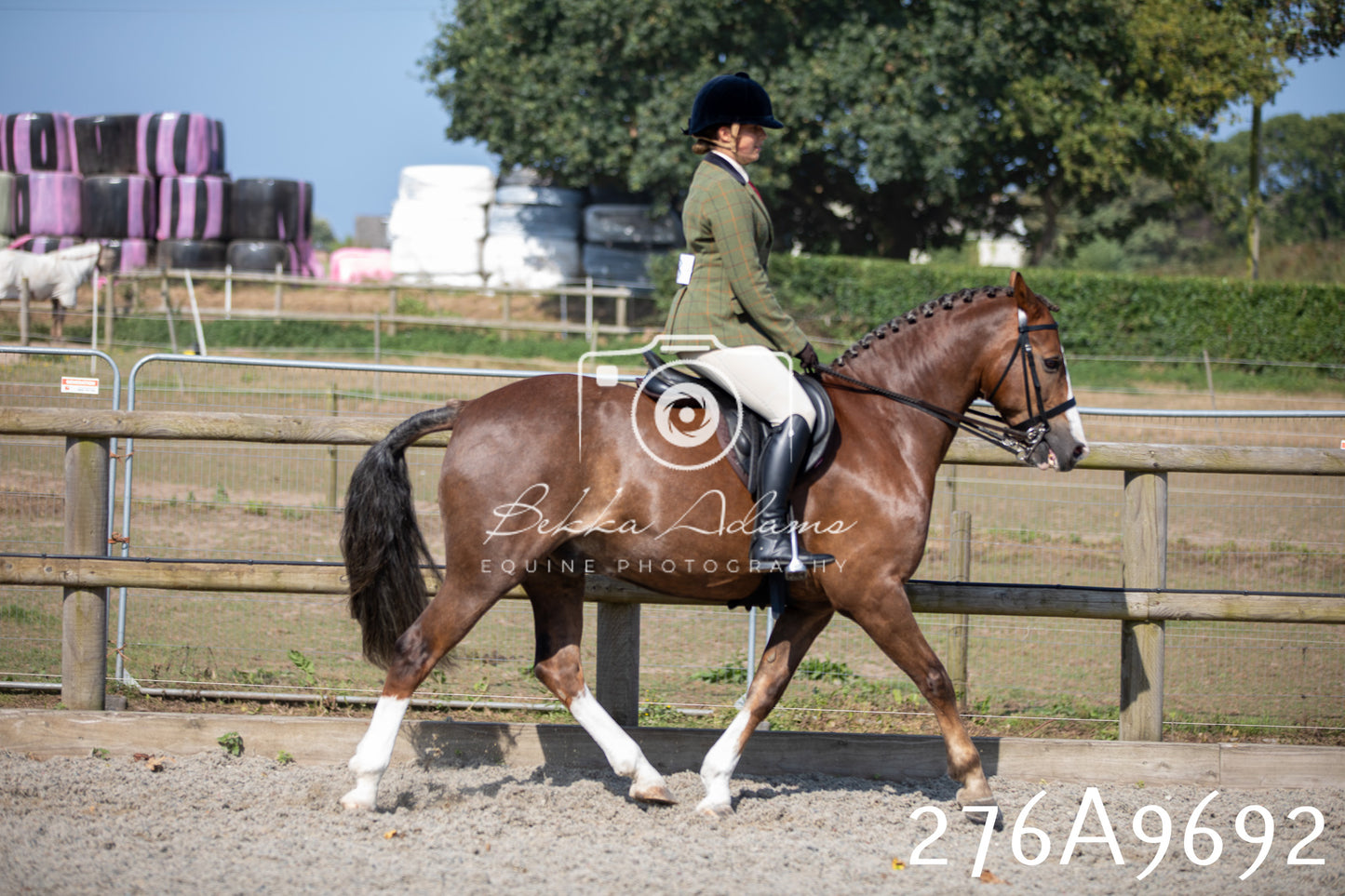 Home Farm Annual Show 2025 - Ridden Pt 2