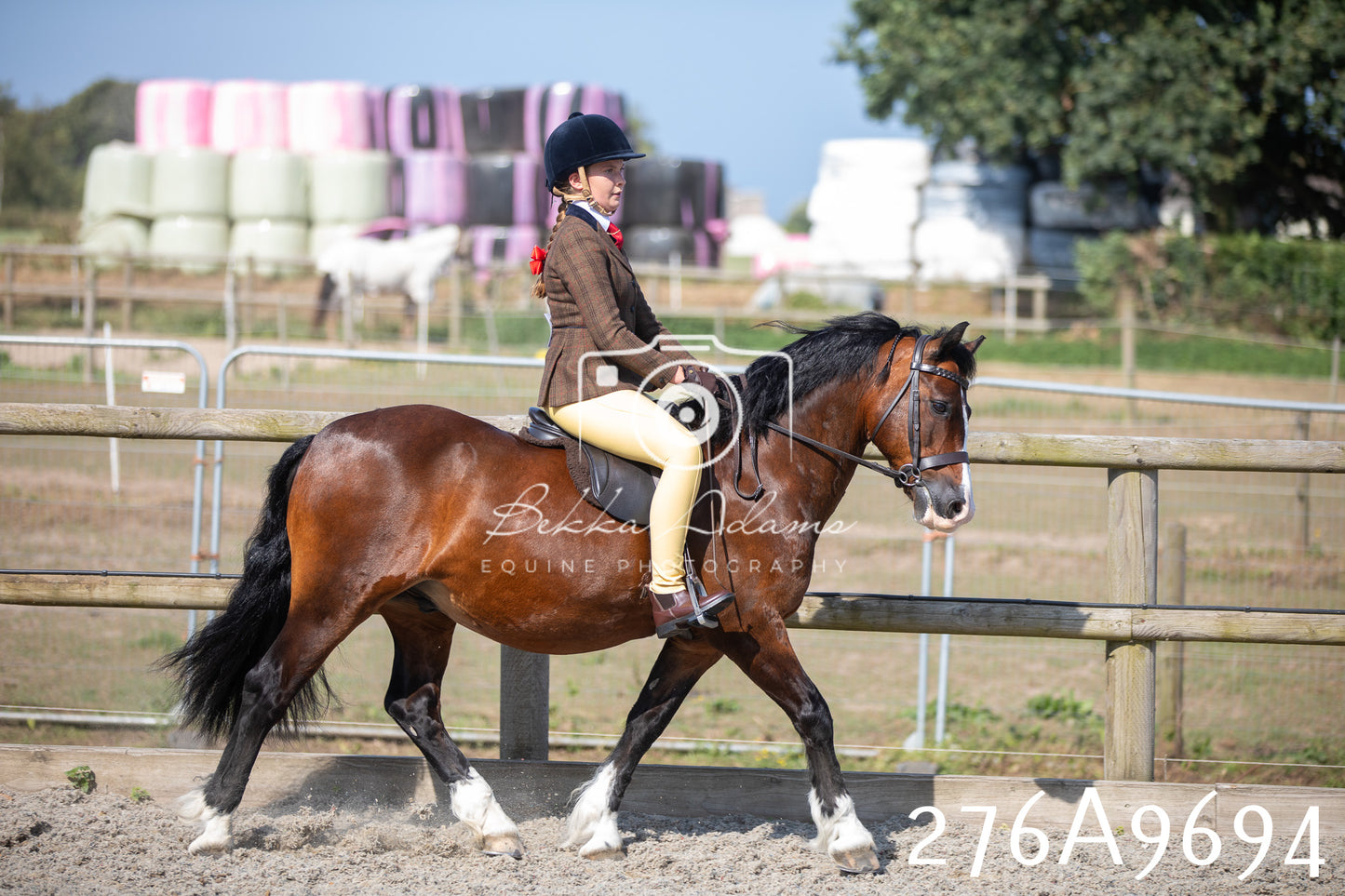 Home Farm Annual Show 2025 - Ridden Pt 2