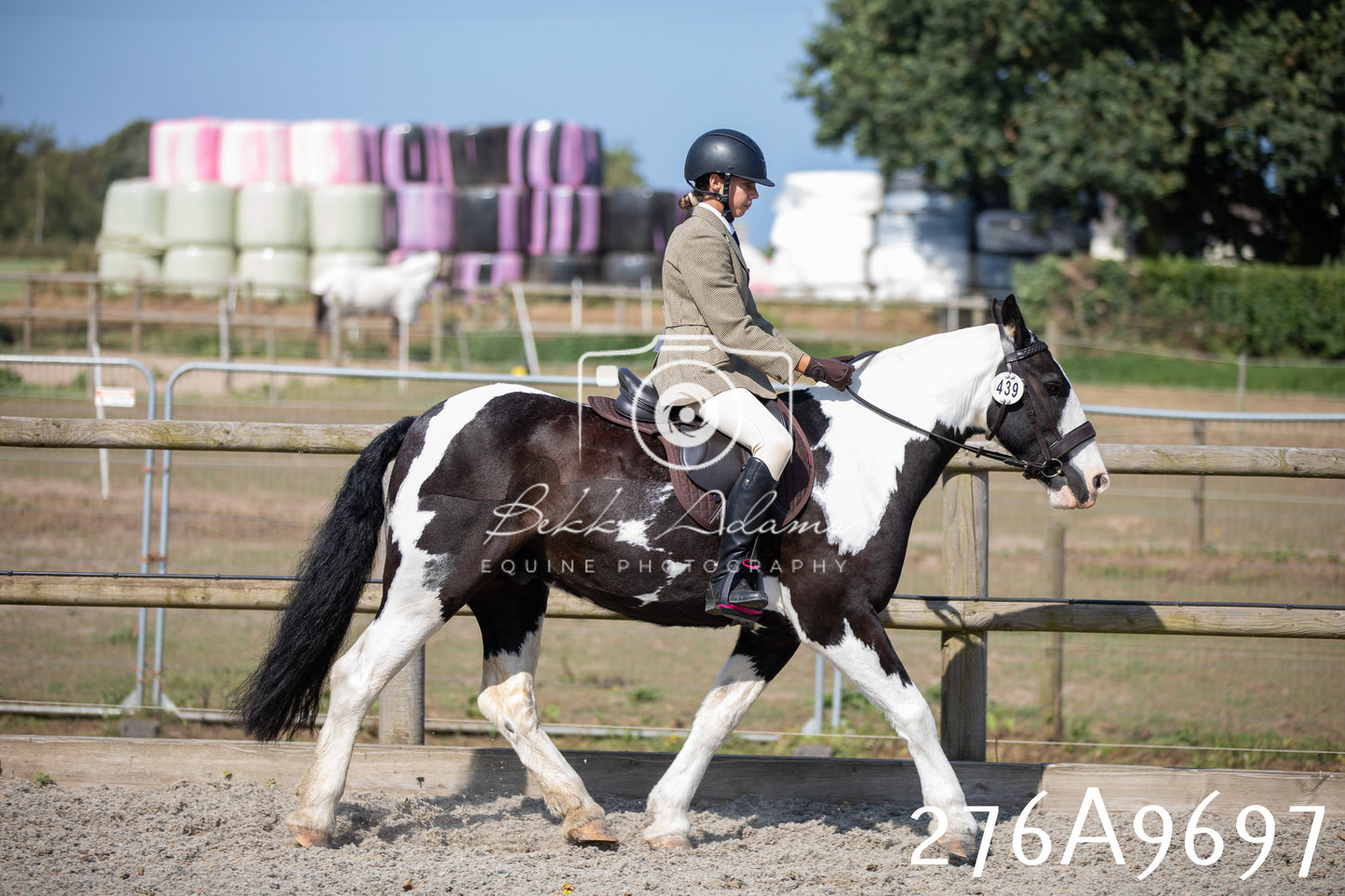 Home Farm Annual Show 2025 - Ridden Pt 2