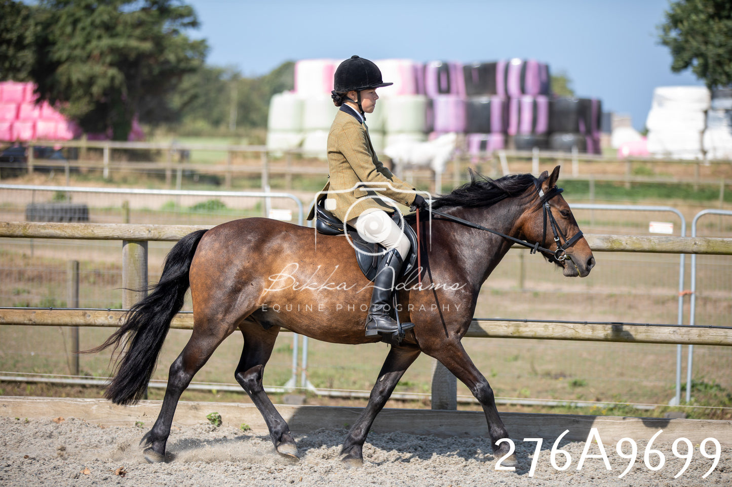Home Farm Annual Show 2025 - Ridden Pt 2
