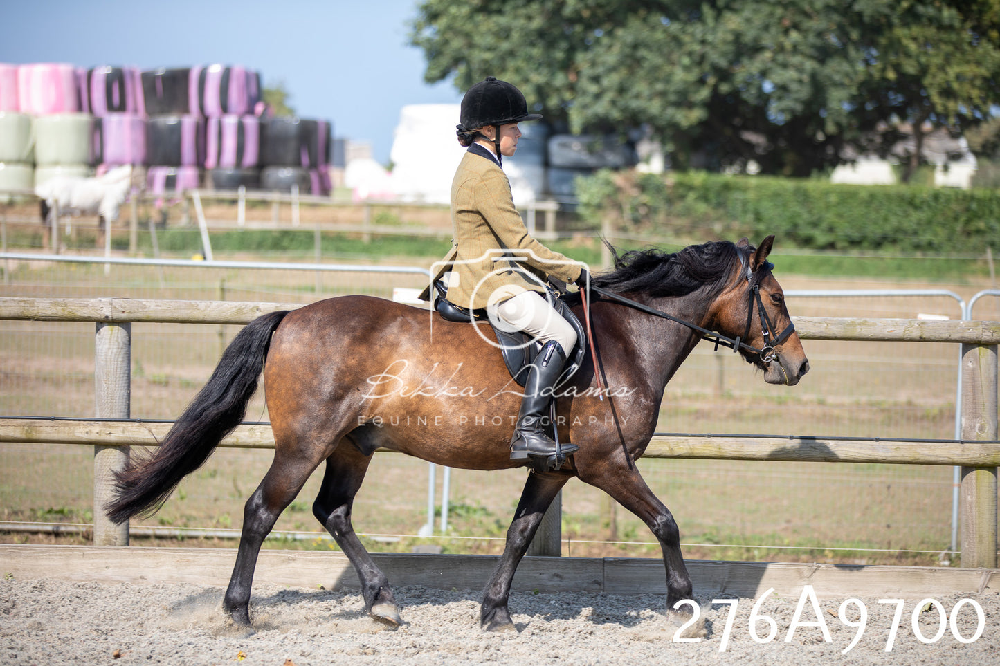 Home Farm Annual Show 2025 - Ridden Pt 2