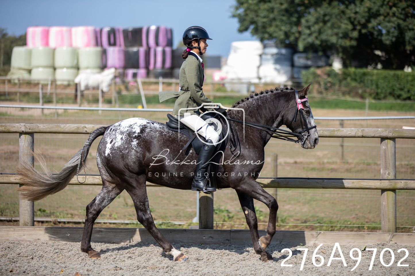 Home Farm Annual Show 2025 - Ridden Pt 2