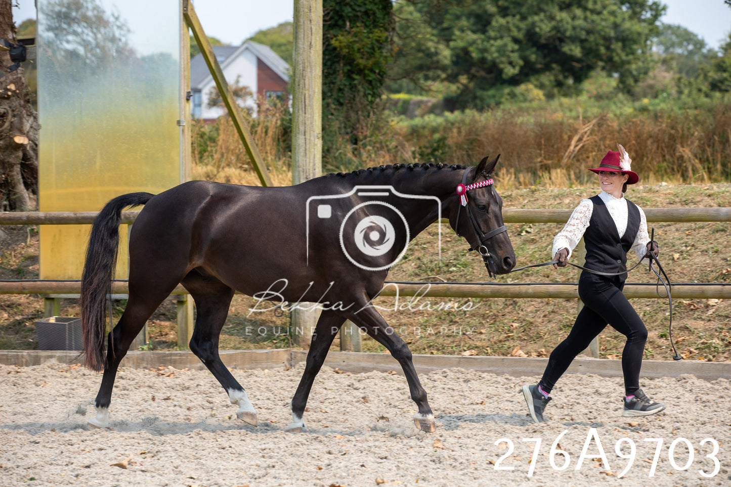Home Farm Annual Show 2025 - Inhand Pt 2