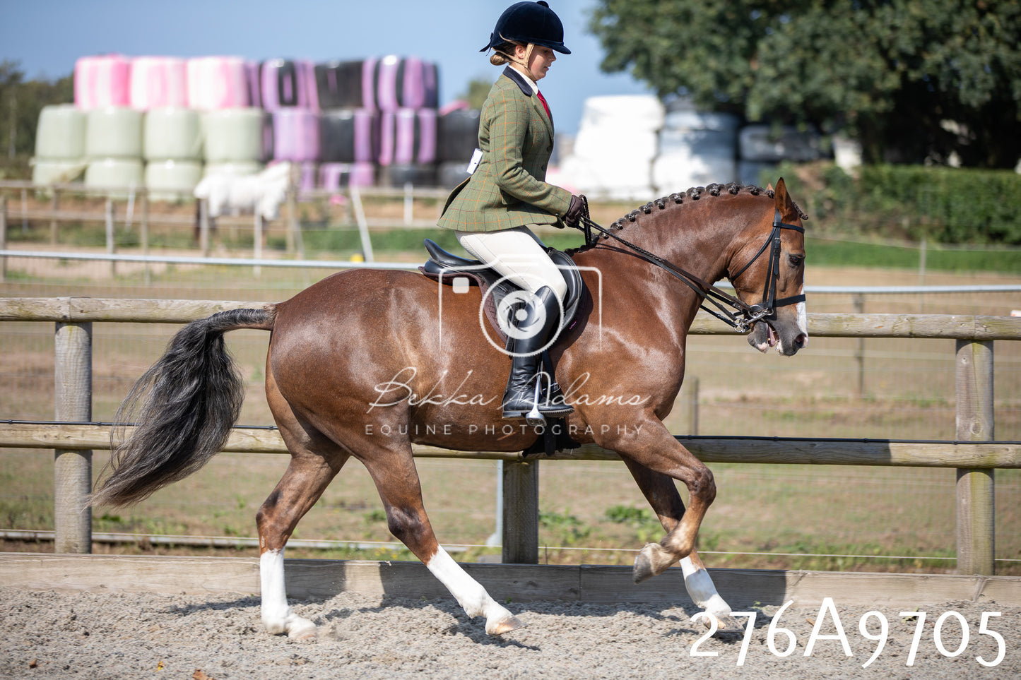 Home Farm Annual Show 2025 - Ridden Pt 2