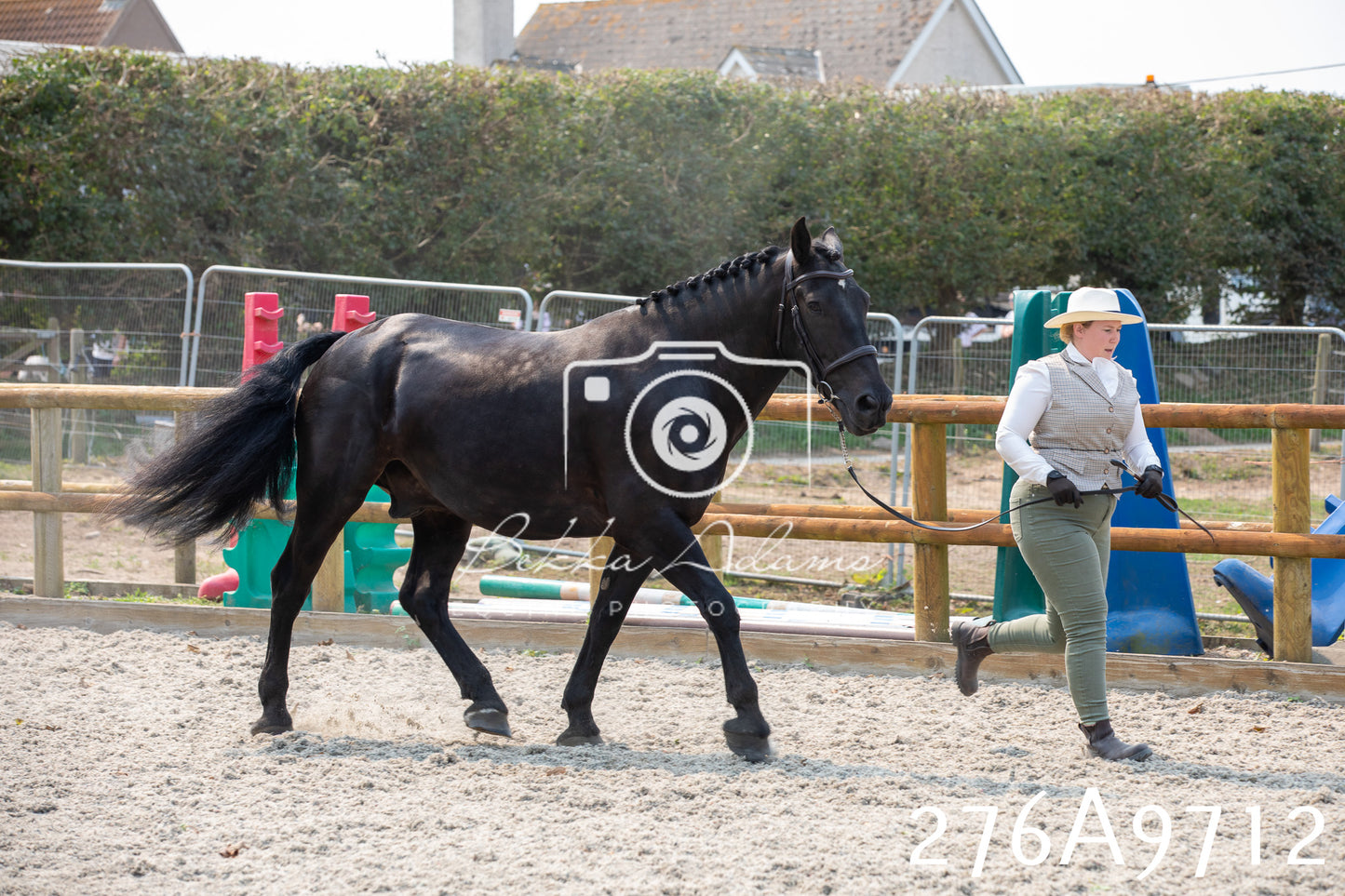 Home Farm Annual Show 2025 - Inhand Pt 2