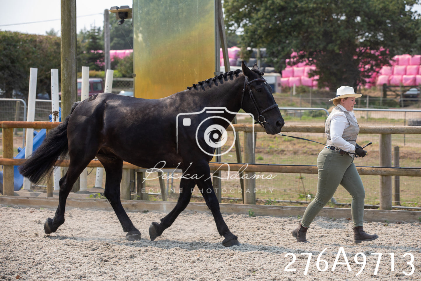 Home Farm Annual Show 2025 - Inhand Pt 2