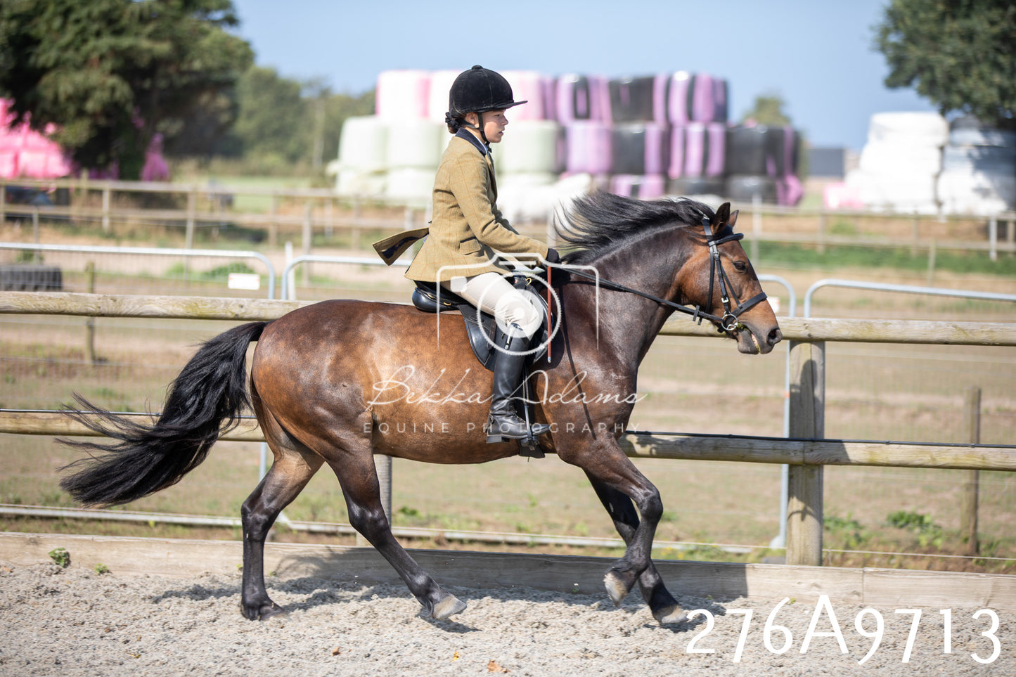 Home Farm Annual Show 2025 - Ridden Pt 2