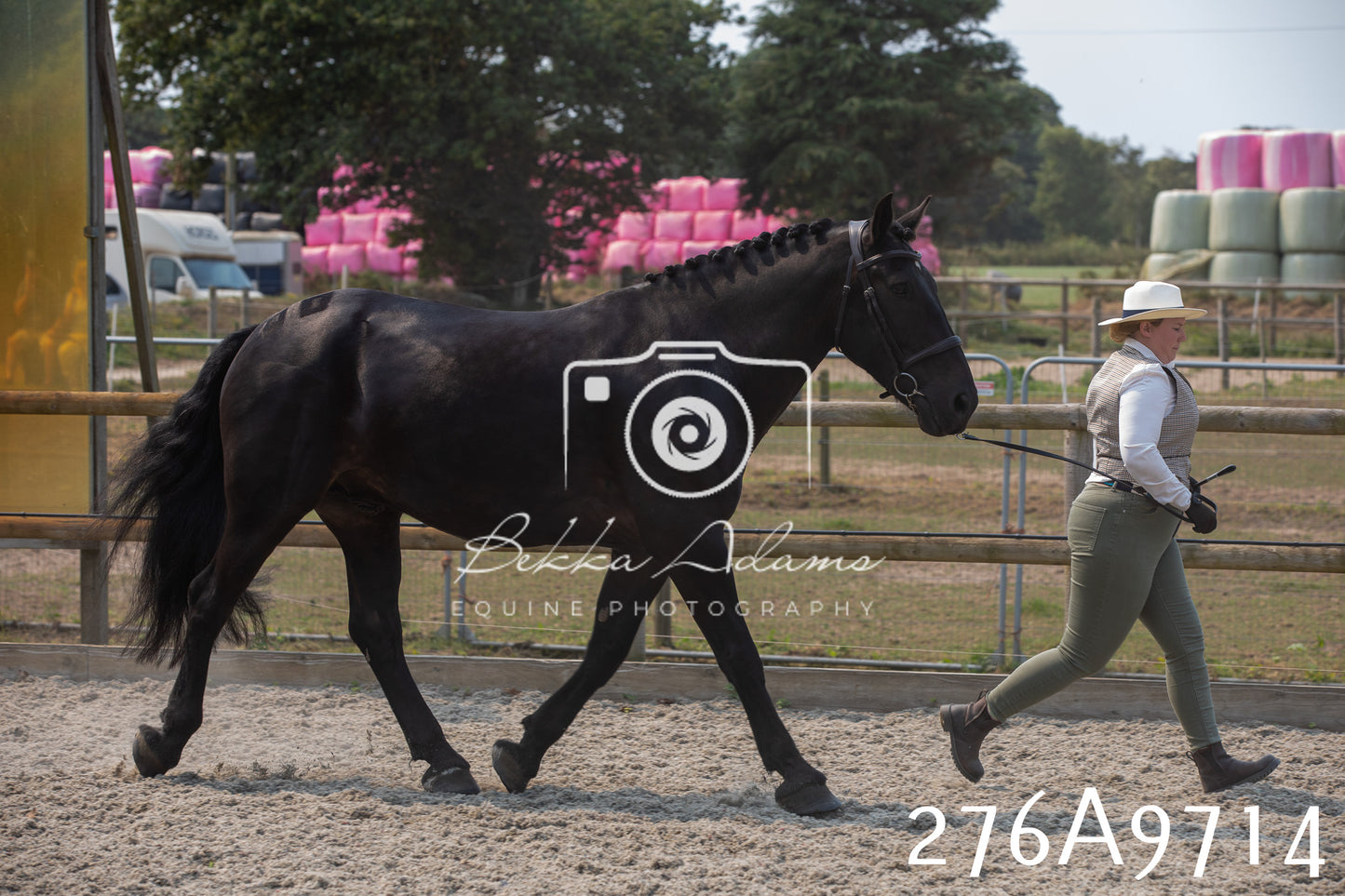 Home Farm Annual Show 2025 - Inhand Pt 2
