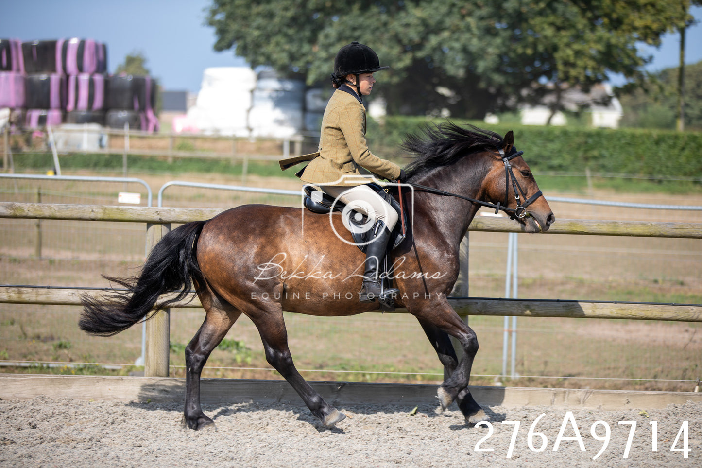 Home Farm Annual Show 2025 - Ridden Pt 2