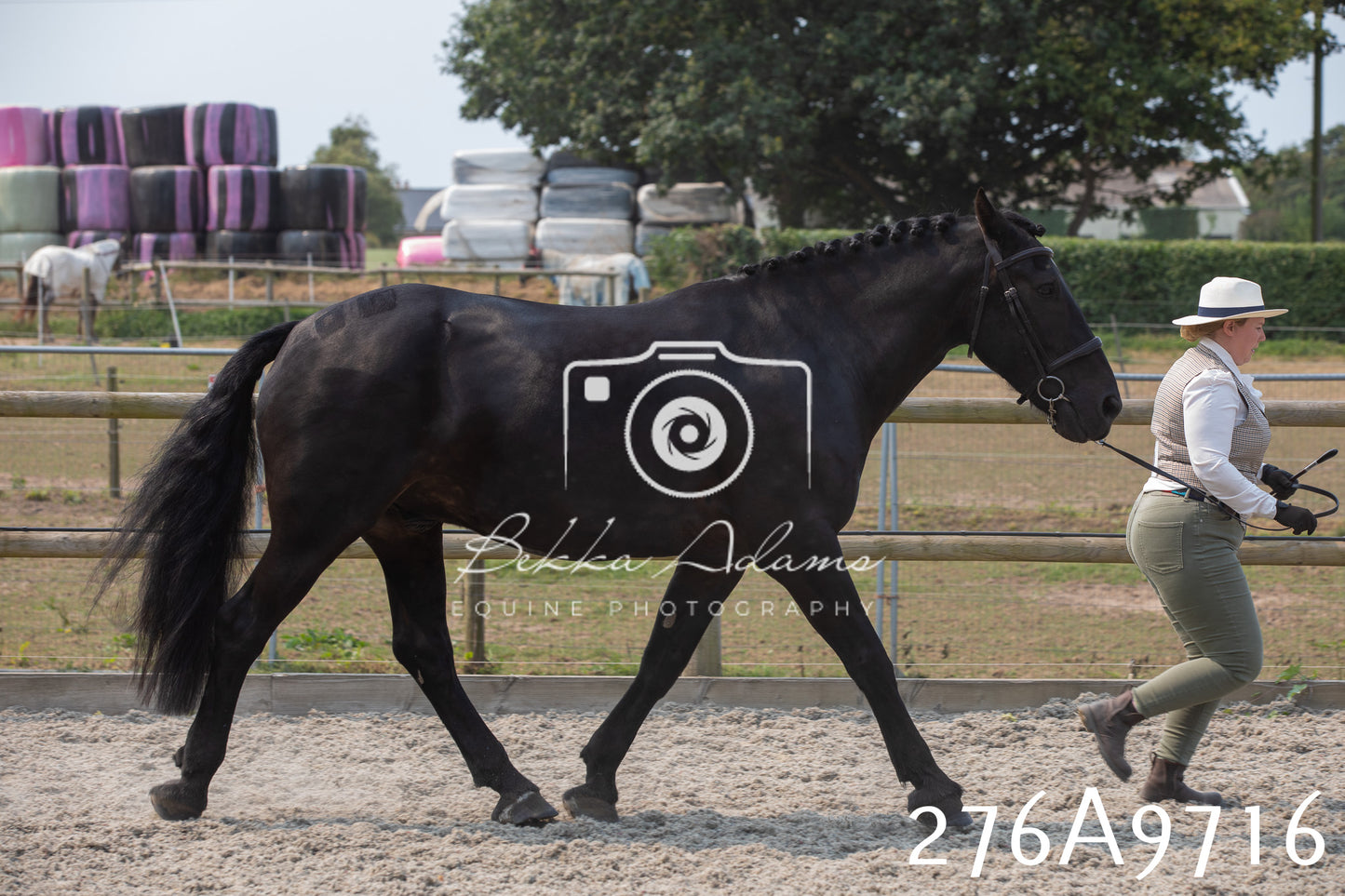 Home Farm Annual Show 2025 - Inhand Pt 2