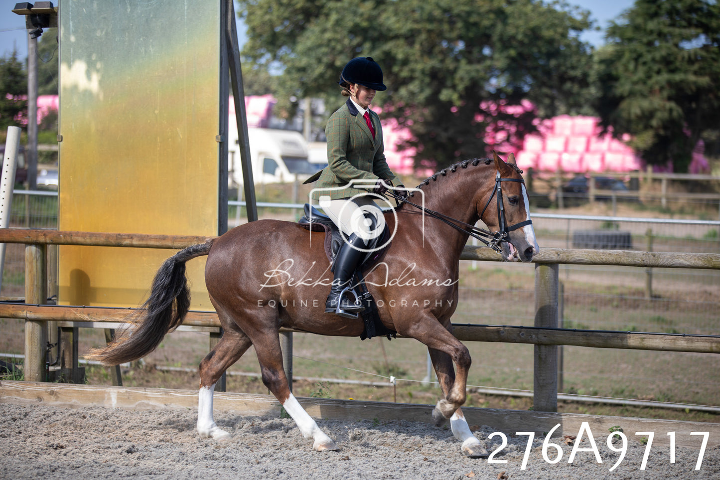 Home Farm Annual Show 2025 - Ridden Pt 2