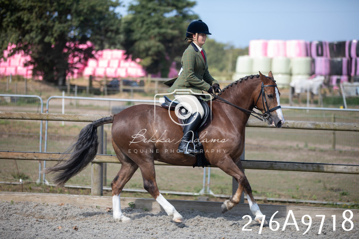 Home Farm Annual Show 2025 - Ridden Pt 2