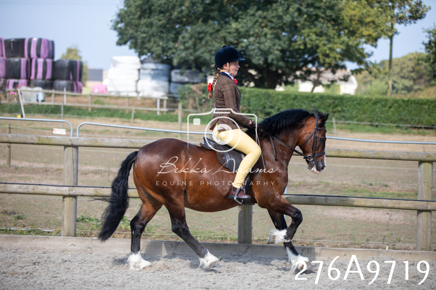 Home Farm Annual Show 2025 - Ridden Pt 2