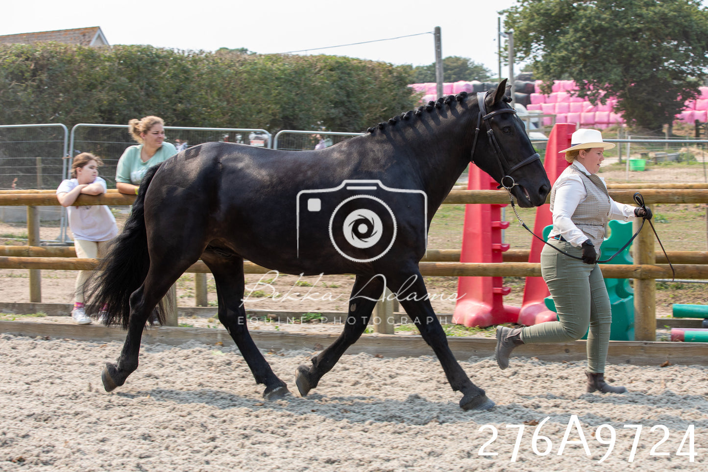 Home Farm Annual Show 2025 - Inhand Pt 2