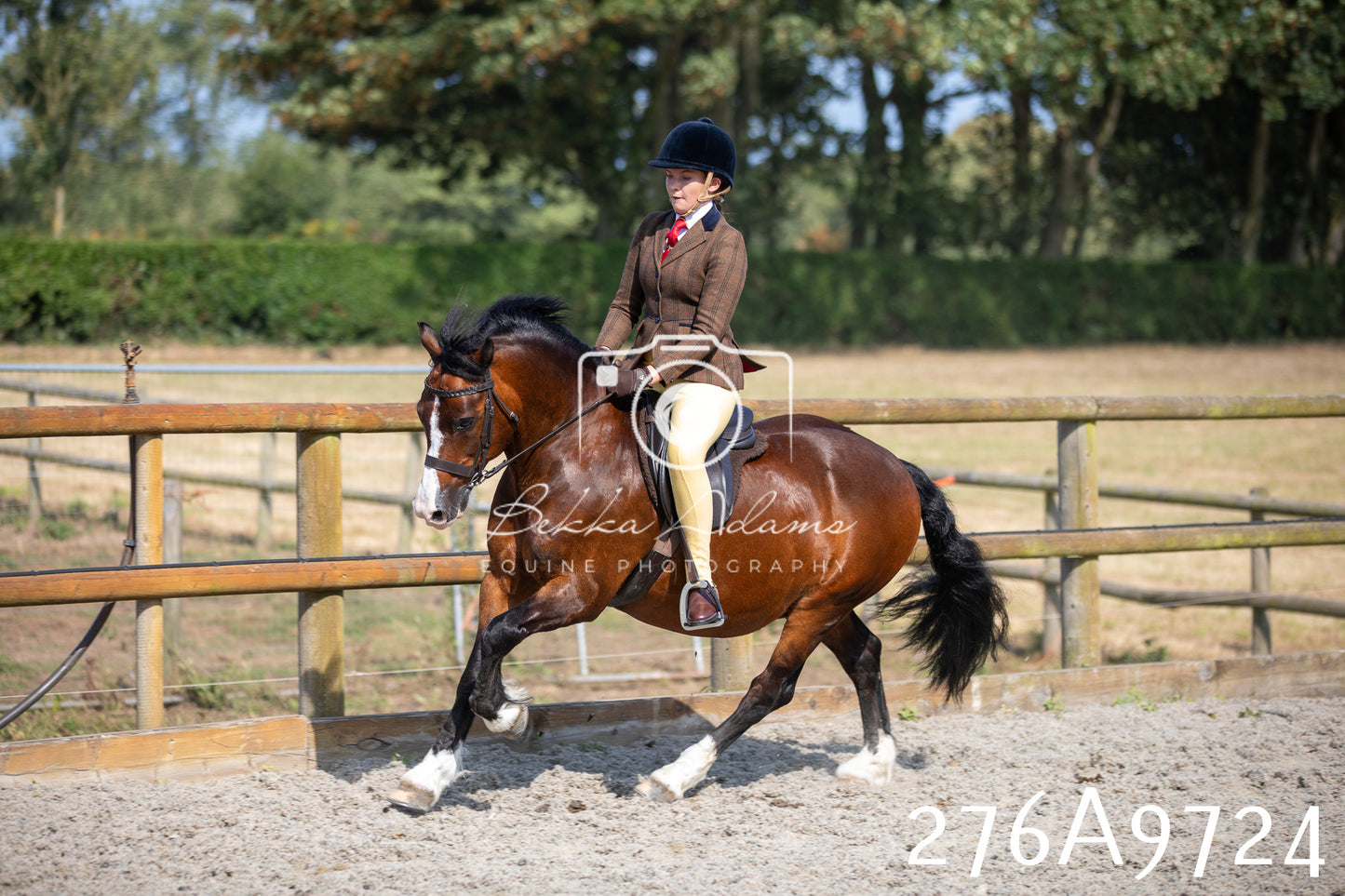 Home Farm Annual Show 2025 - Ridden Pt 2