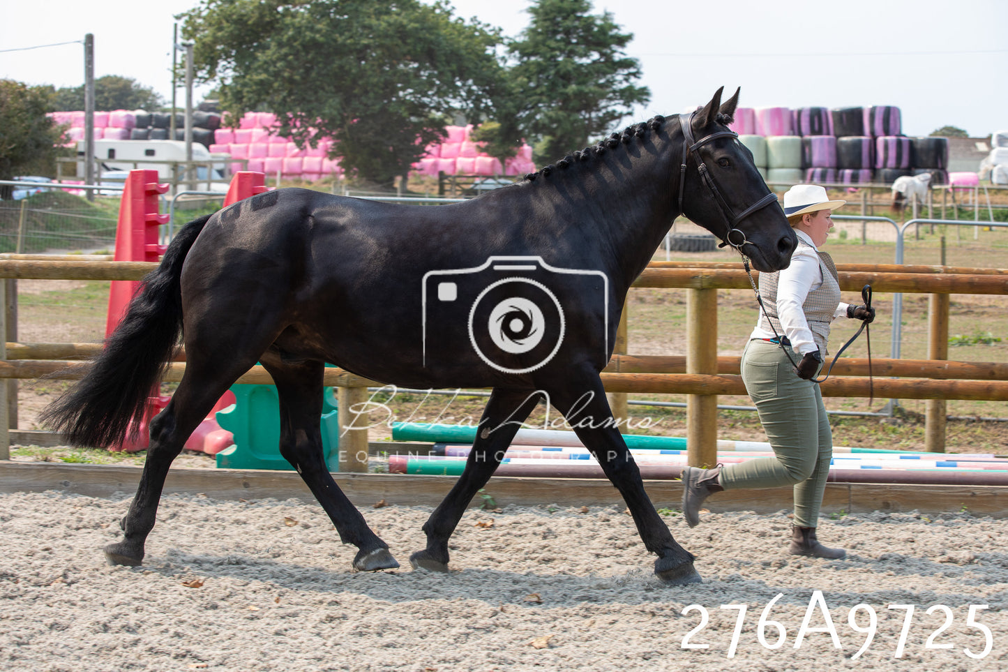 Home Farm Annual Show 2025 - Inhand Pt 2