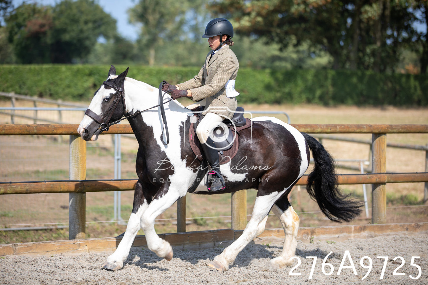 Home Farm Annual Show 2025 - Ridden Pt 2
