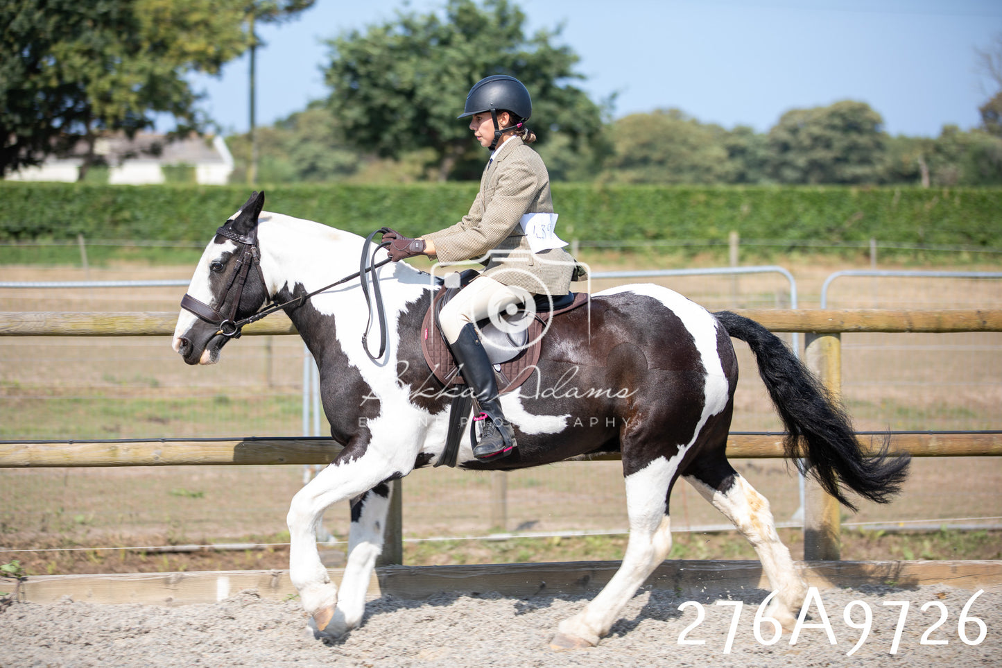 Home Farm Annual Show 2025 - Ridden Pt 2