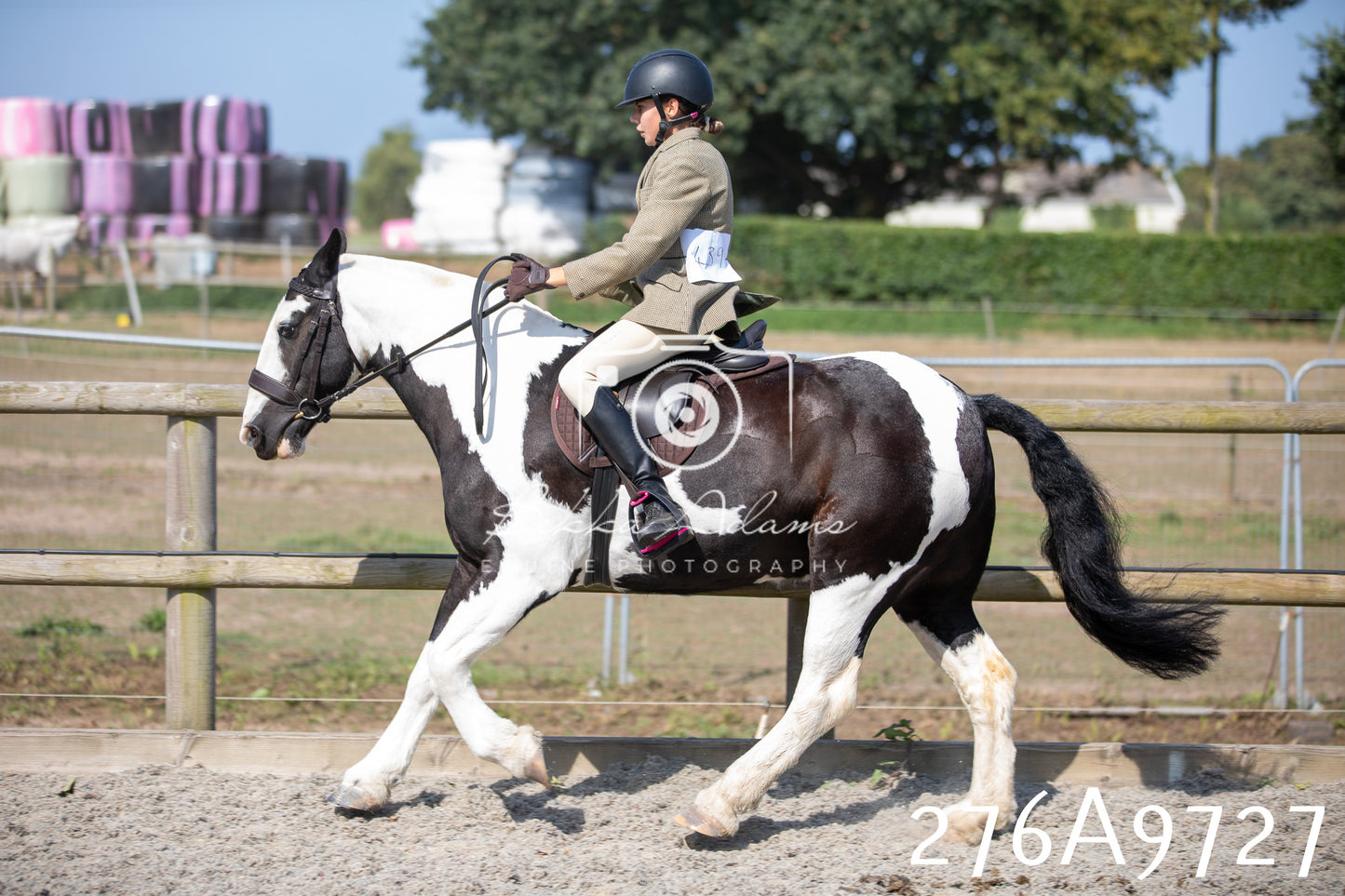 Home Farm Annual Show 2025 - Ridden Pt 2