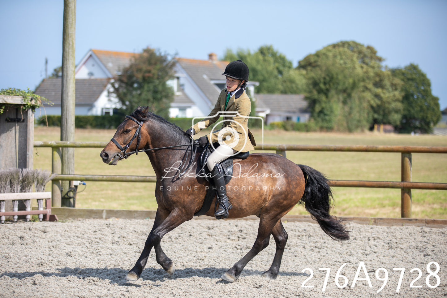 Home Farm Annual Show 2025 - Ridden Pt 2