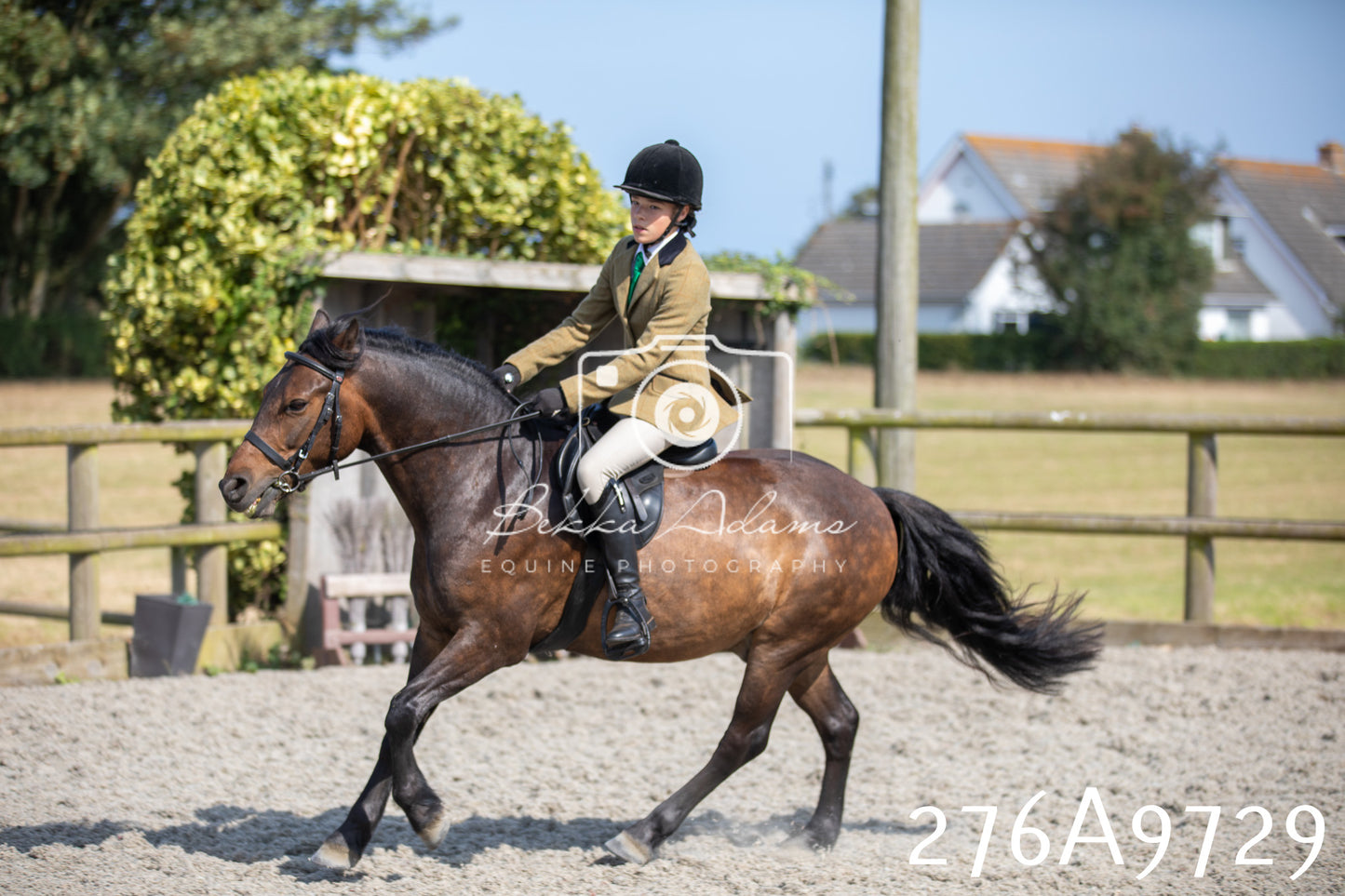 Home Farm Annual Show 2025 - Ridden Pt 2