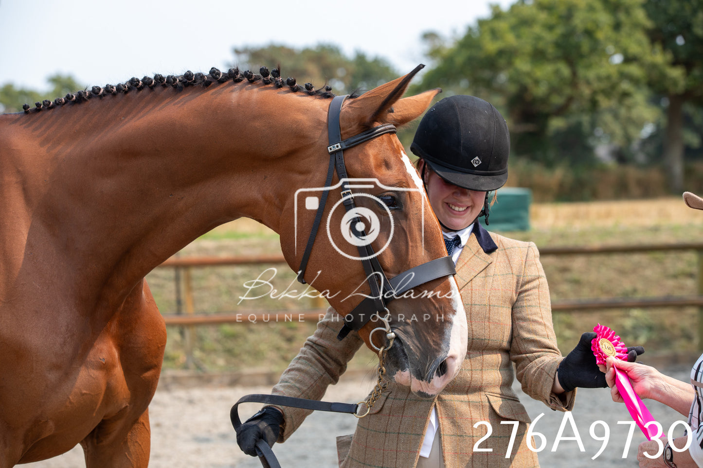 Home Farm Annual Show 2025 - Inhand Pt 2