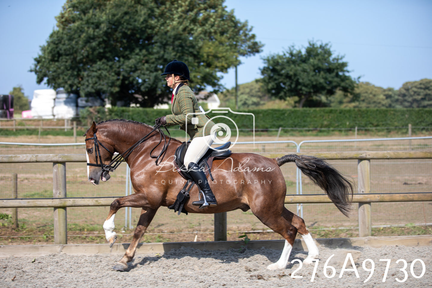 Home Farm Annual Show 2025 - Ridden Pt 2