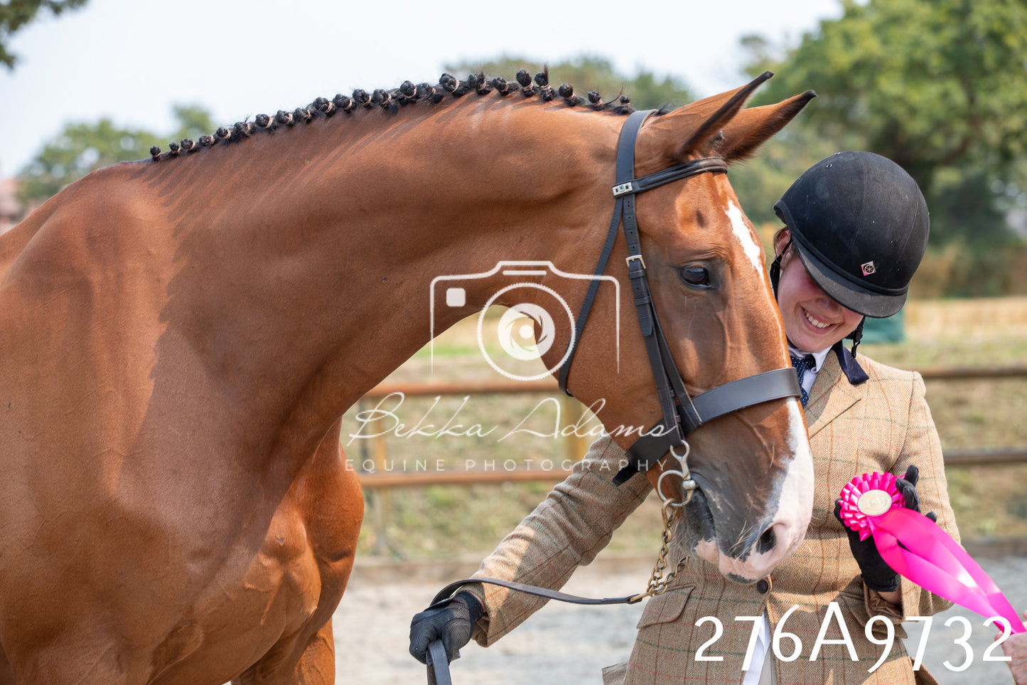 Home Farm Annual Show 2025 - Inhand Pt 2