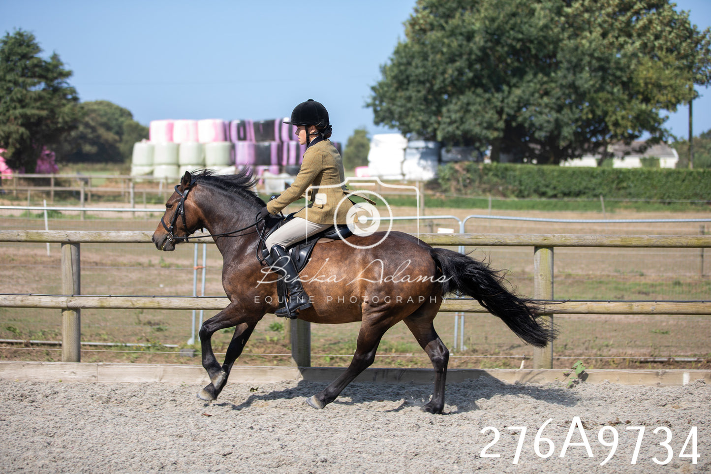 Home Farm Annual Show 2025 - Ridden Pt 2