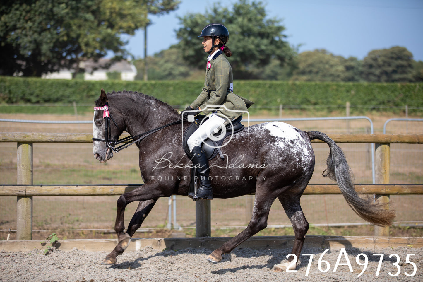 Home Farm Annual Show 2025 - Ridden Pt 2