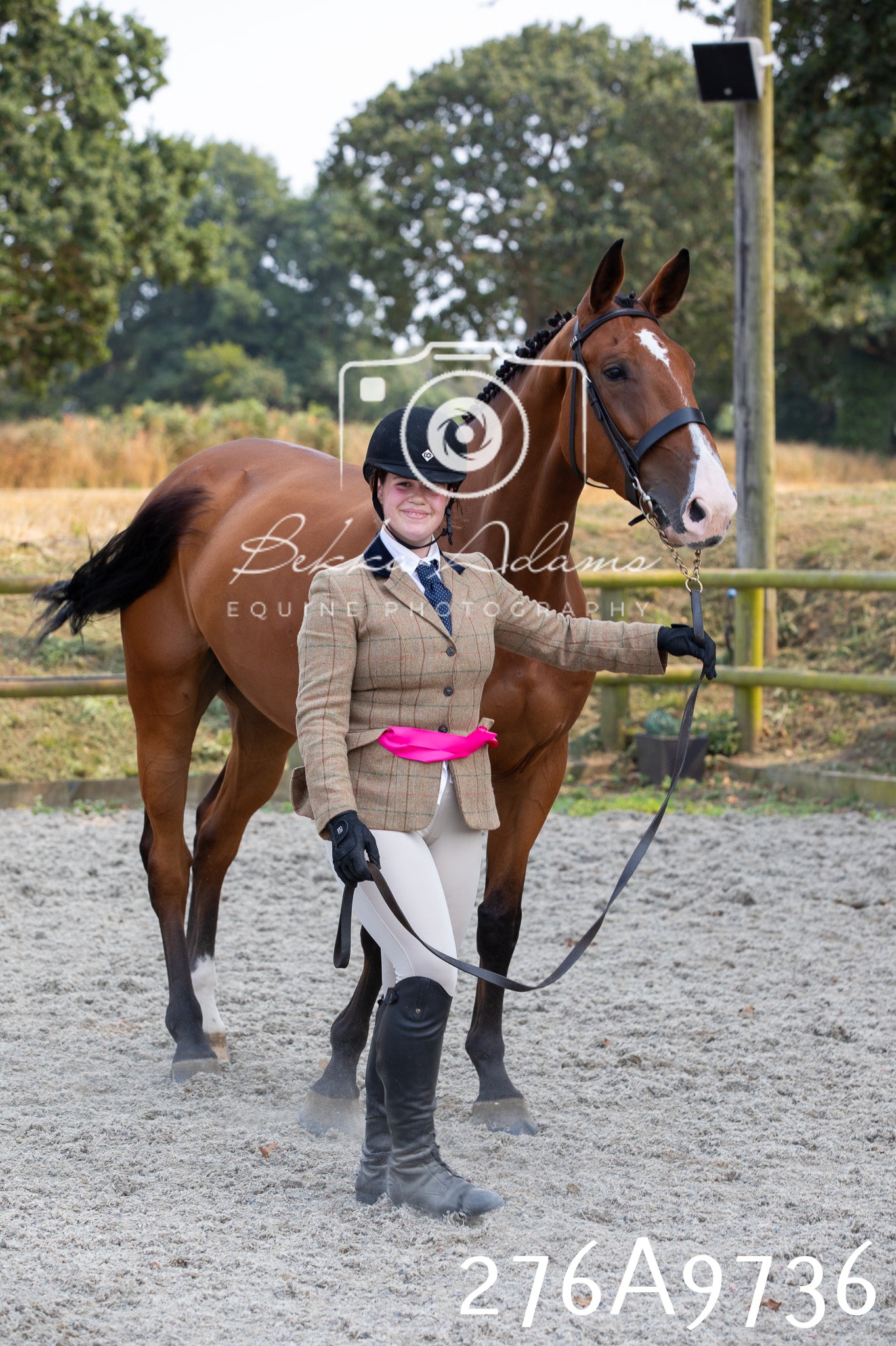 Home Farm Annual Show 2025 - Inhand Pt 2