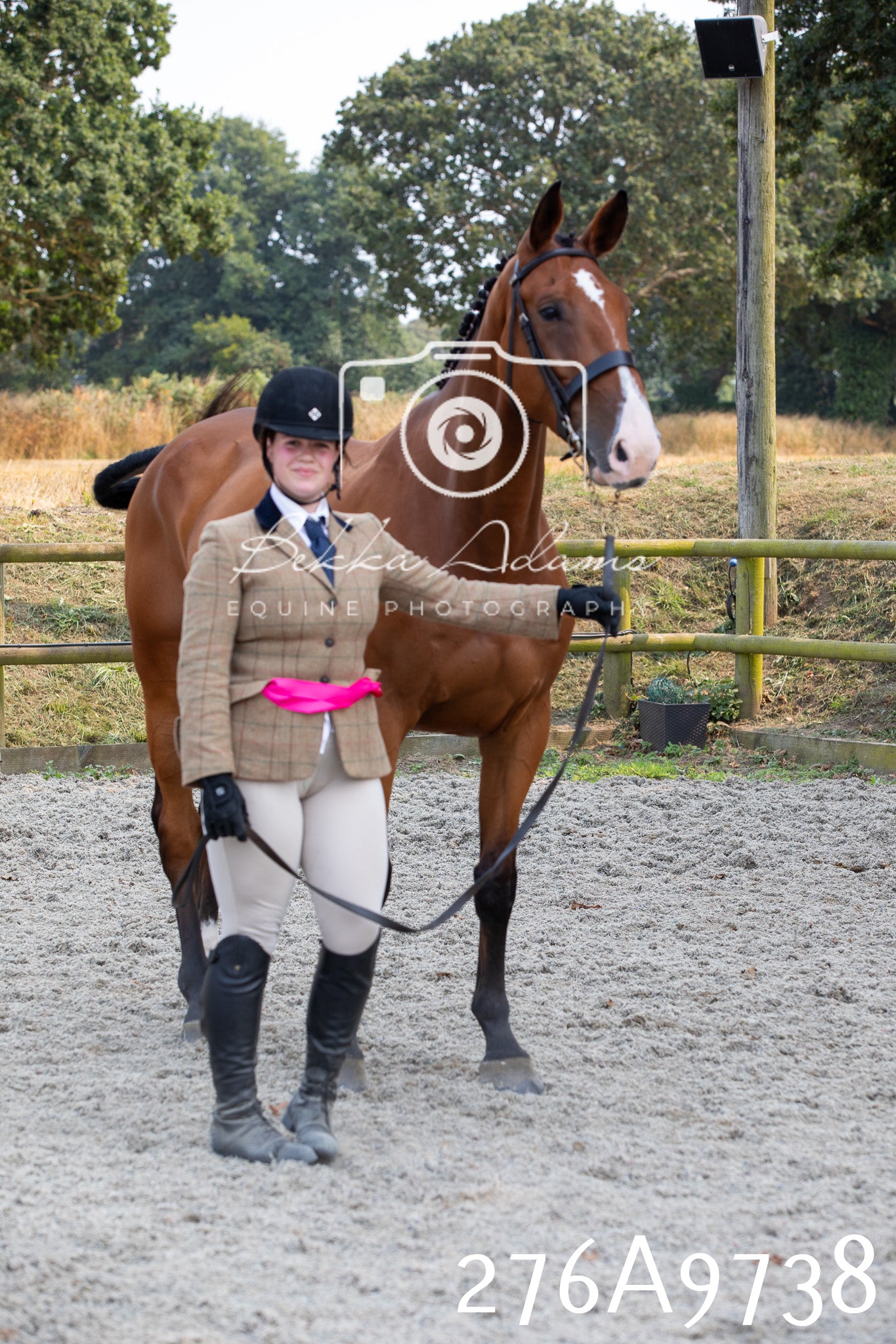 Home Farm Annual Show 2025 - Inhand Pt 2
