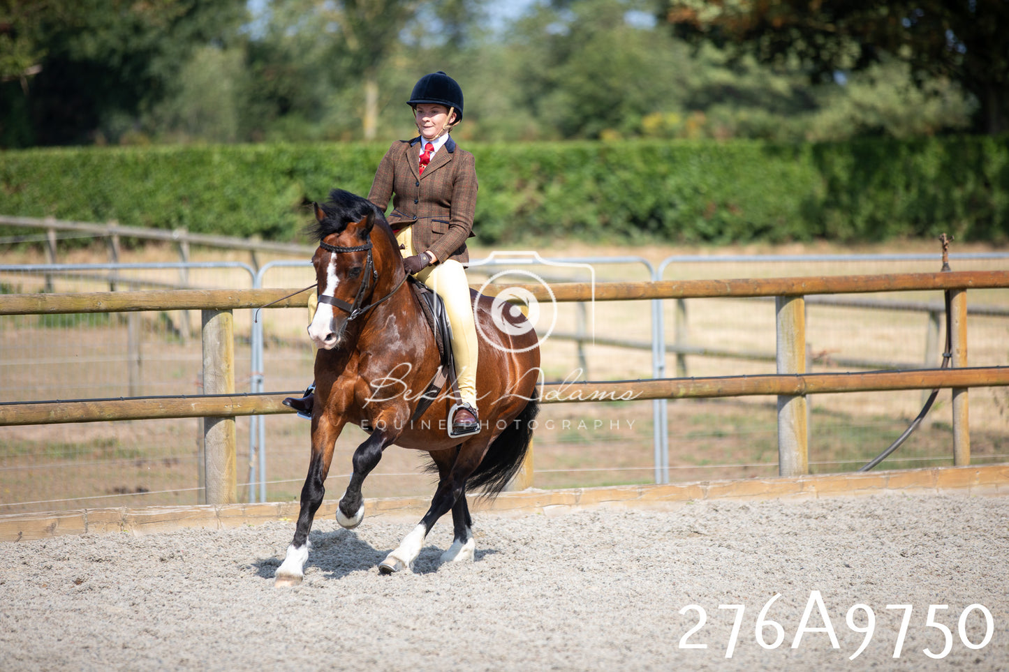 Home Farm Annual Show 2025 - Ridden Pt 2