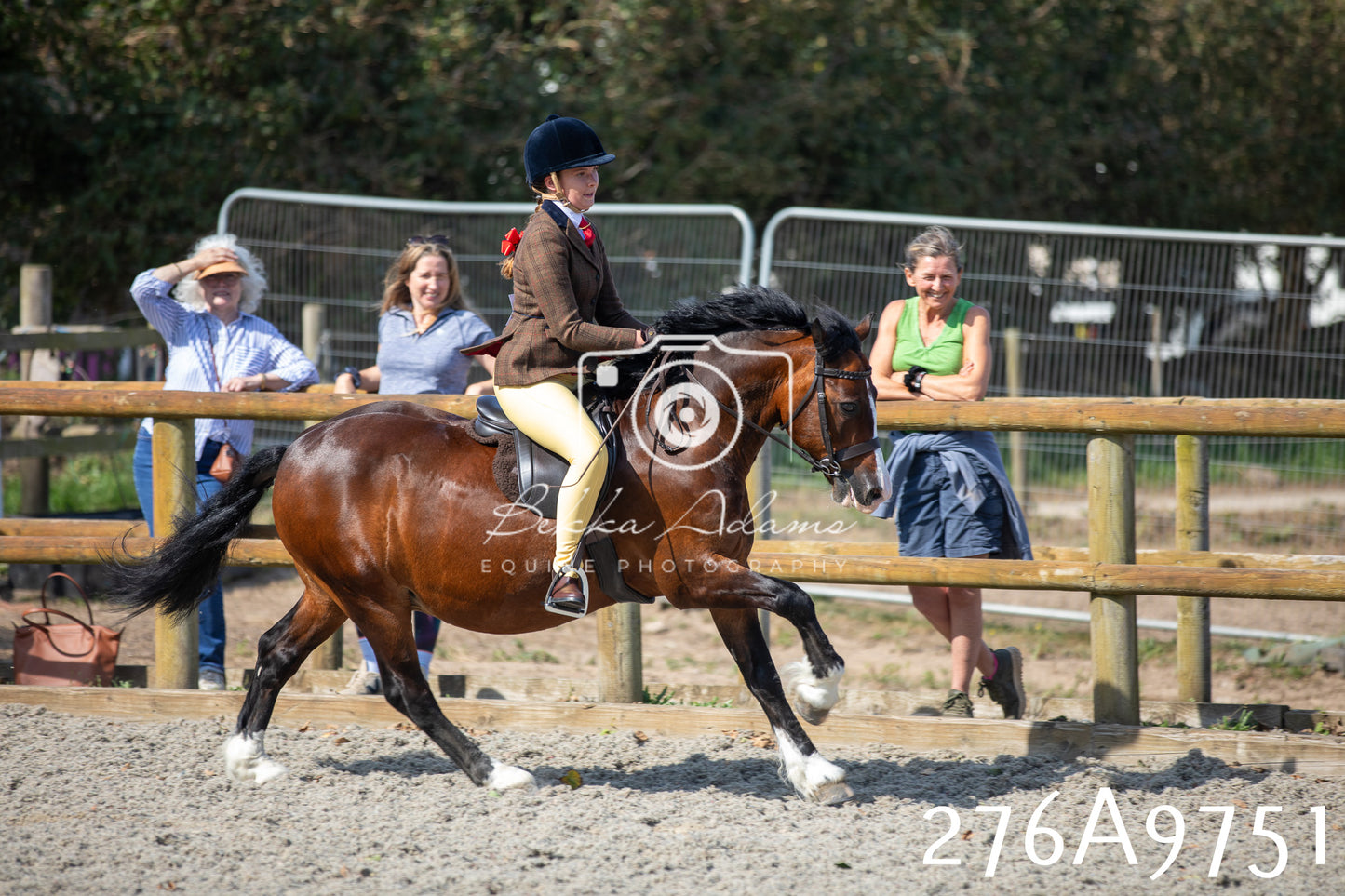 Home Farm Annual Show 2025 - Ridden Pt 2