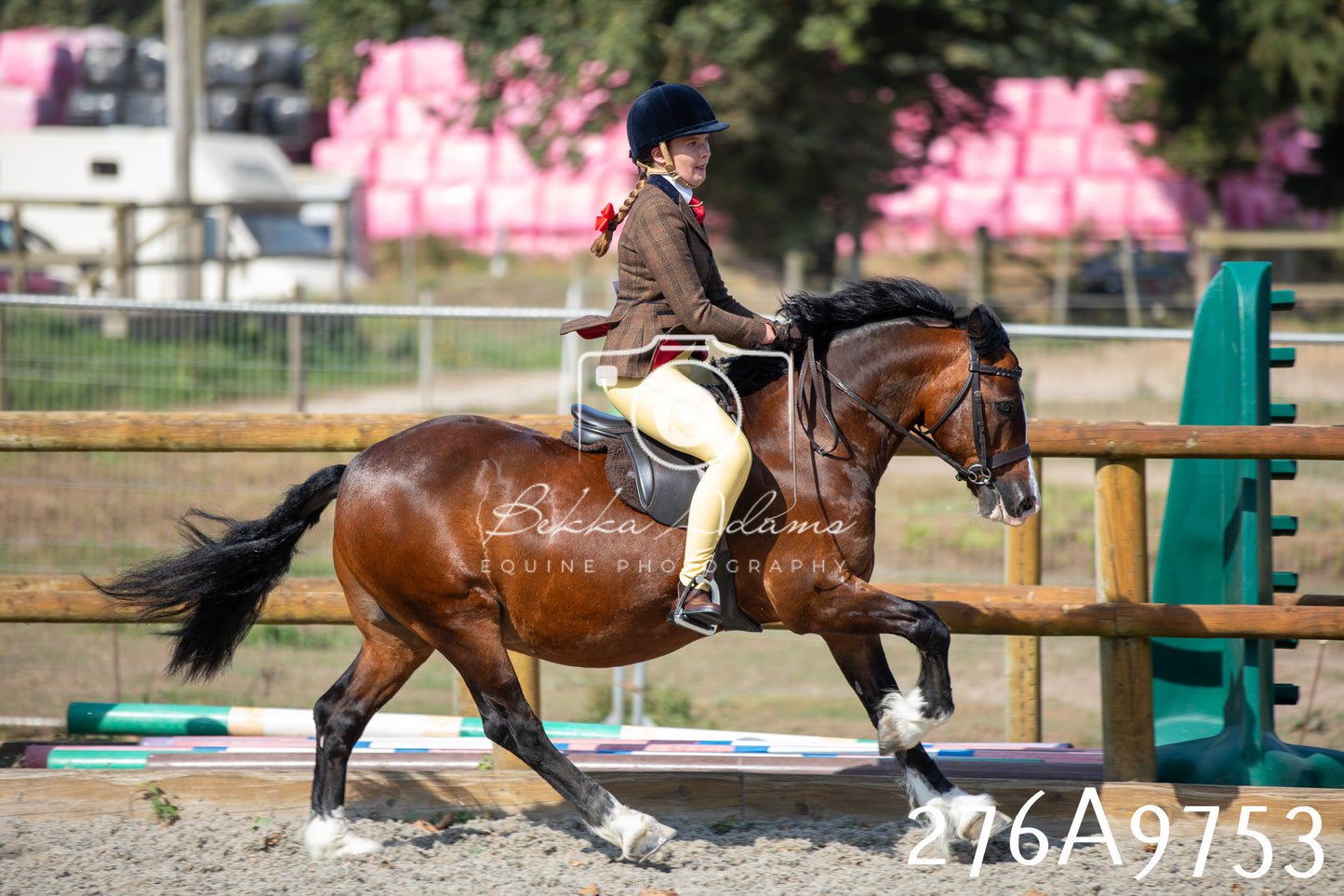 Home Farm Annual Show 2025 - Ridden Pt 2