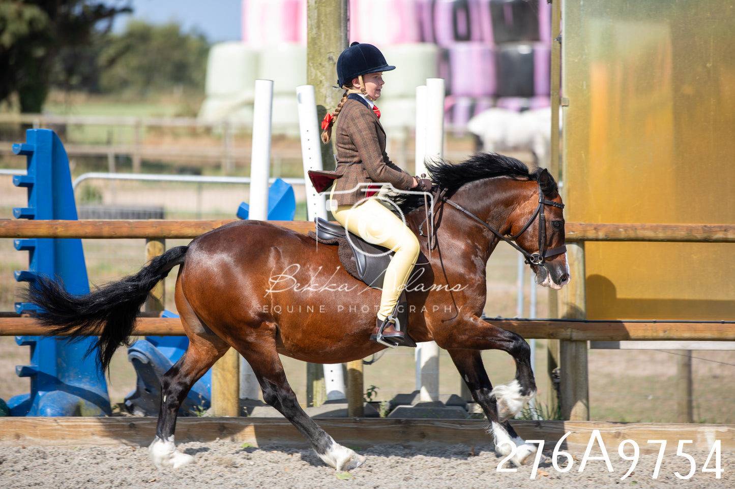 Home Farm Annual Show 2025 - Ridden Pt 2