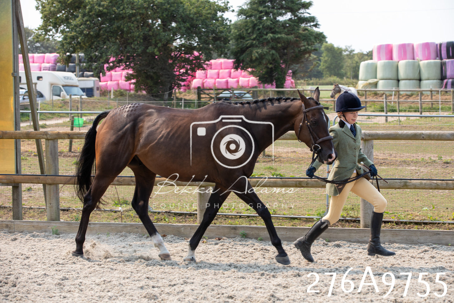 Home Farm Annual Show 2025 - Inhand Pt 2