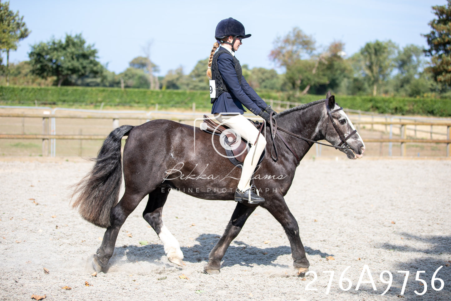 Home Farm Annual Show 2025 - Ridden Pt 2