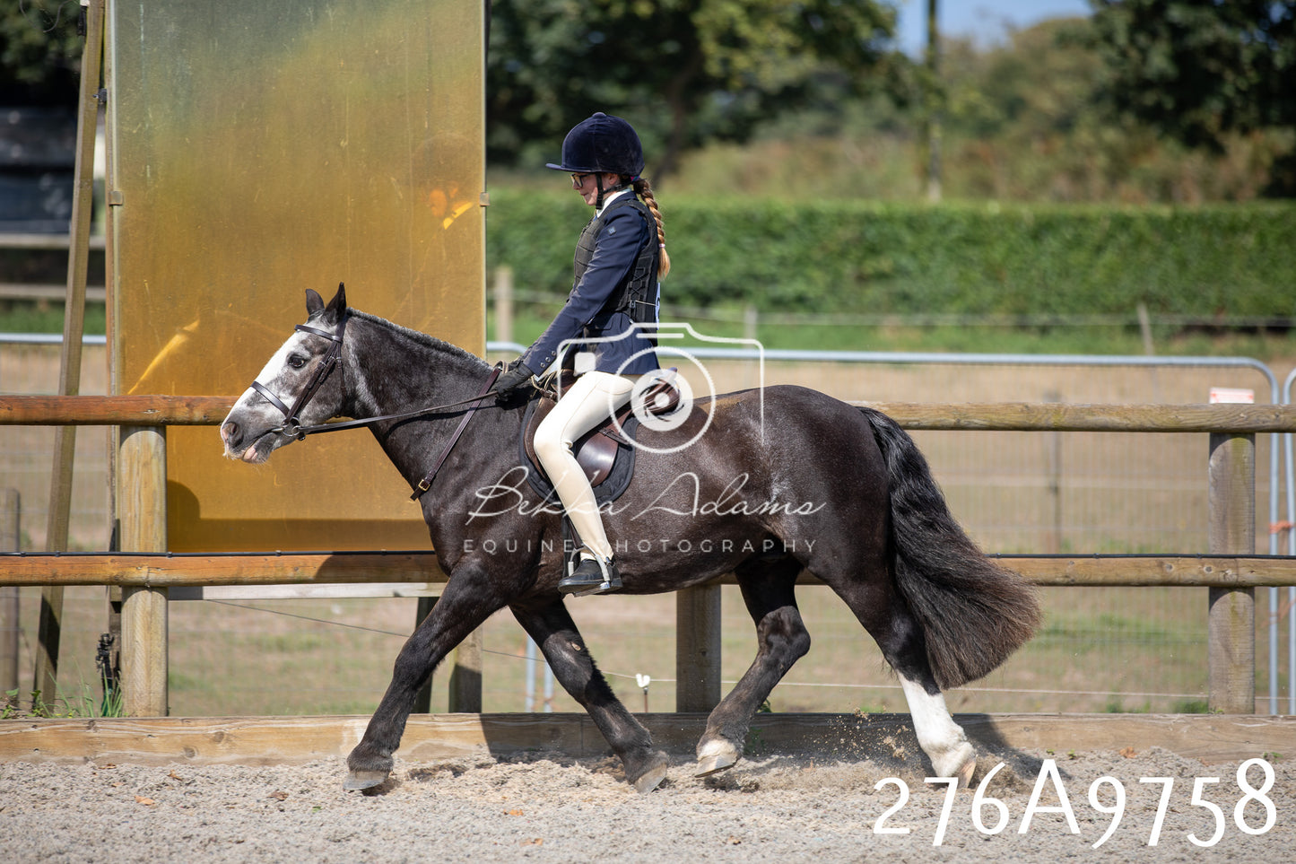Home Farm Annual Show 2025 - Ridden Pt 2